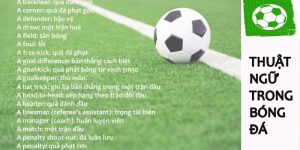 Thuật Ngữ Cá Độ Bóng Đá - Top 10 Khái Niệm Quan Trọng Cần Biết 2 Các thuật ngữ cá độ bóng đá quan trọng khác